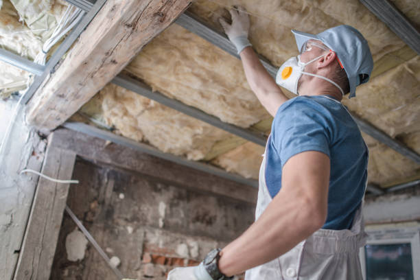 Best Home Insulation Services  in Vaiden, MS