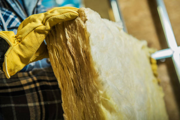 Best Spray Foam Insulation  in Vaiden, MS