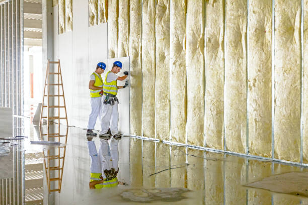 Best Attic Insulation Installation  in Vaiden, MS